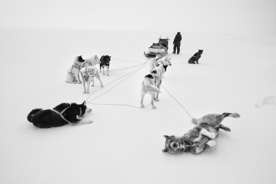 Kultur